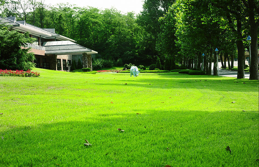 草坪融雪发热电缆系统